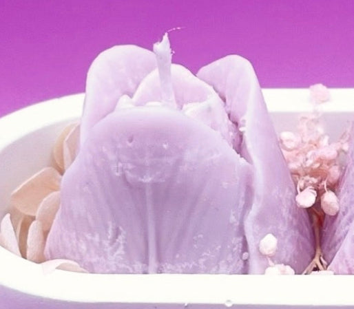 Candela Rose&Chic🌹