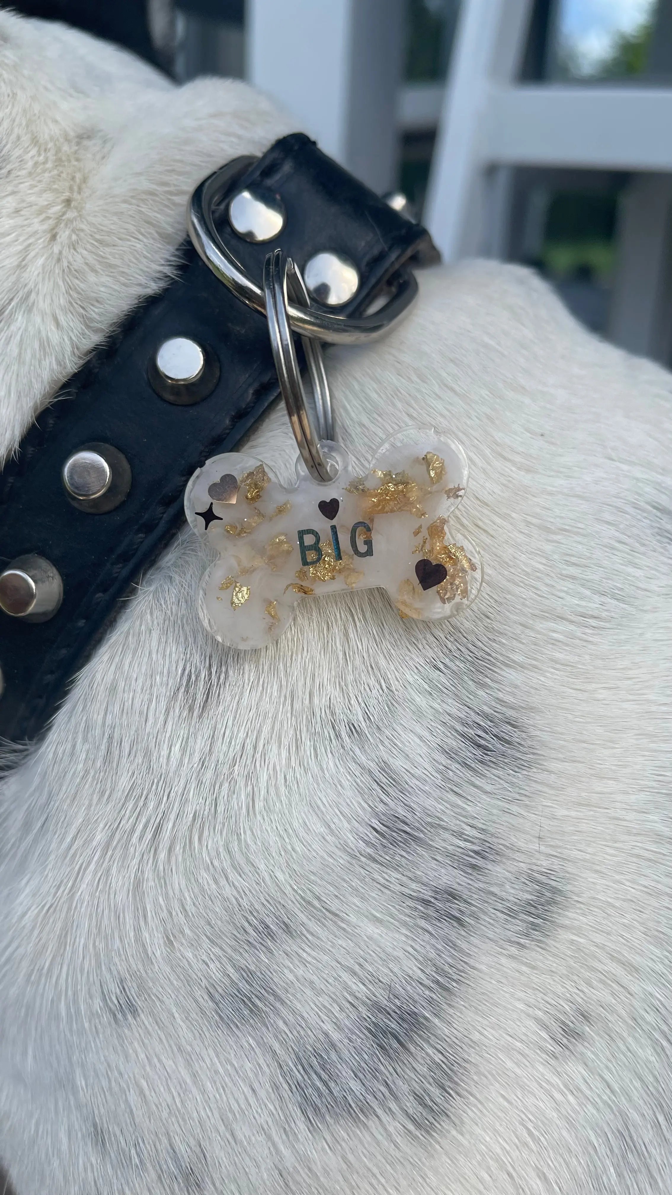 Medaglietta Pet Un_Cadeaux