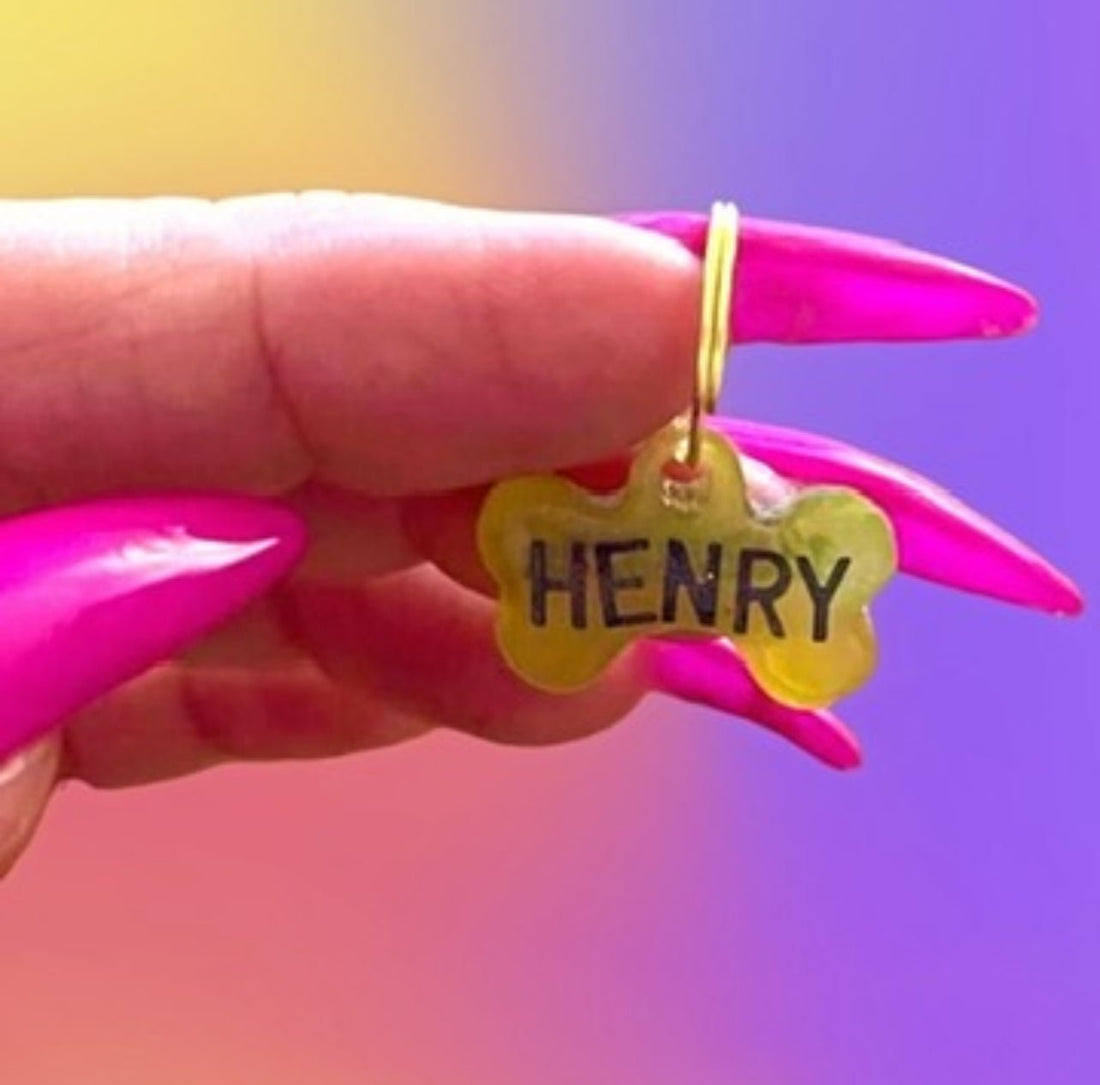 Medagliette in Resina per Cani di Piccola Taglia - Un_Cadeaux